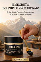 Shilajit puro al 100% 💎 Fonte di energia vitale dall'Himalaya